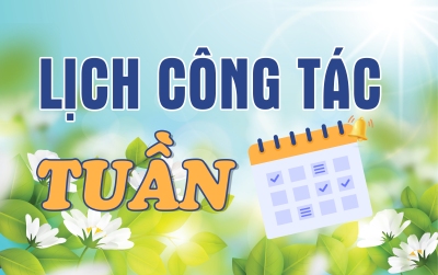 [263]. Kế hoạch làm việc từ 19/10/2026 đến 24/10/2026