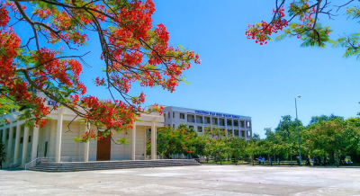 Đại học và trường đại học khác nhau như thế nào?