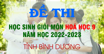 Đề thi học sinh giỏi môn Hoá học 9 tỉnh Bình Dương