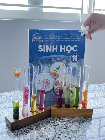 Hoạt động trải nghiệm bộ môn Sinh học của học sinh khối 11