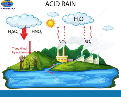 WHAT IS ACID RAIN?