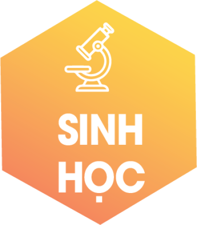 Đề thi Học sinh giỏi cấp tỉnh khối THCS năm học 2024-2025 (Môn: Sinh học)