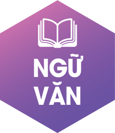 Đề thi Học sinh giỏi môn Ngữ văn-Tiếng Việt giải thưởng Sao Khuê năm học 2024-2025 cấp thành phố (Khối 7)