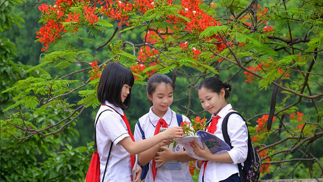 Kế hoạch tổ chức lớp học hè và lớp 12 năm học 2022-2023
