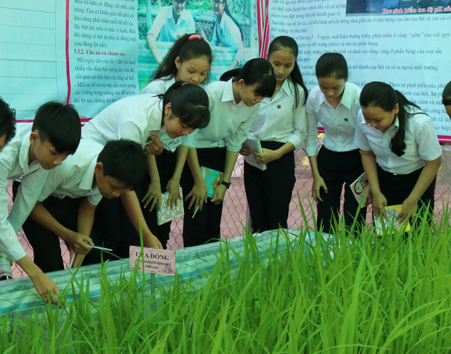 Dạy học tại thực địa: Thực tiễn và giải pháp