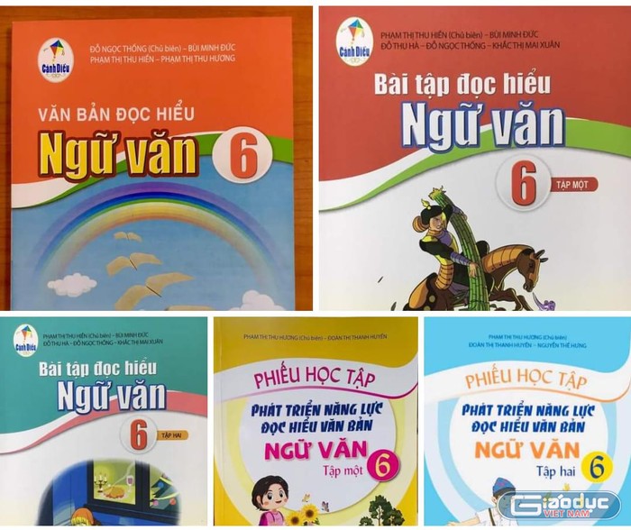 Hiện nay có rất nhiều loại sách đi kèm sách giáo khoa Ngữ văn (Ảnh chụp màn hình)