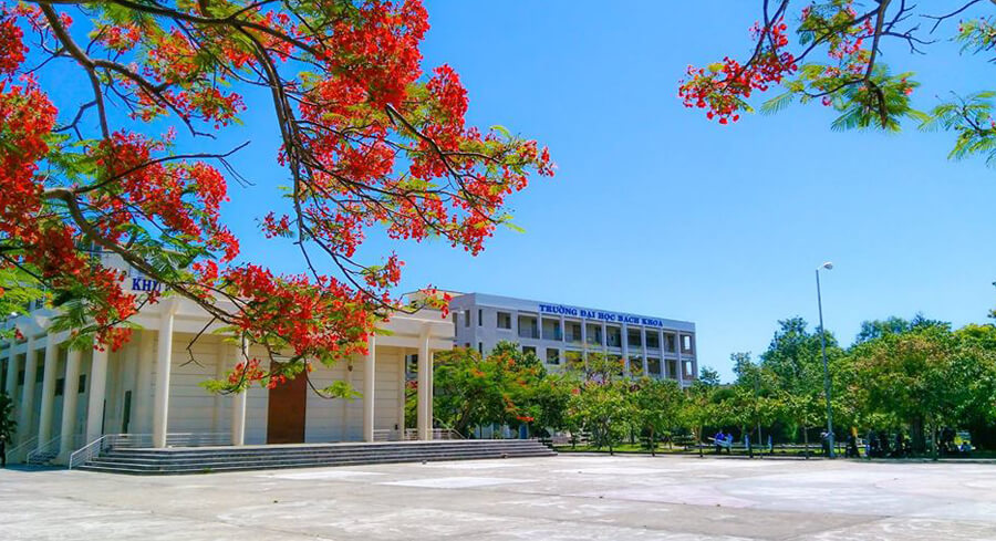 Đại học và trường đại học khác nhau như thế nào?