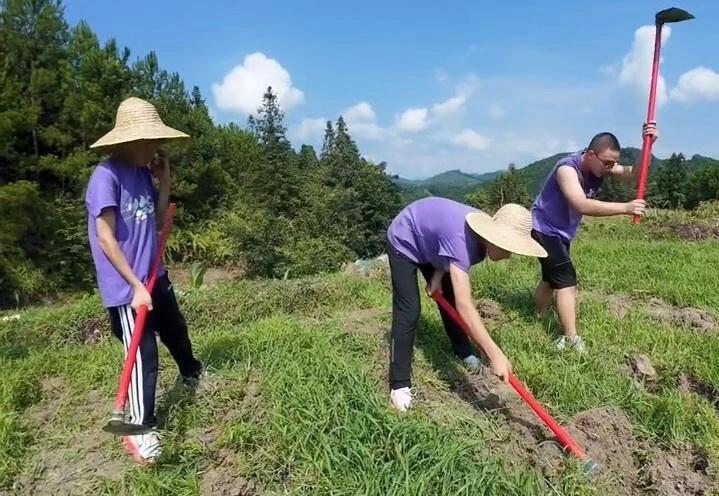 Trẻ đào khoai trong một trại hè "khổ luyện" ở Trung Quốc.