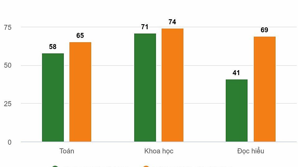 Gần 60% học sinh Việt chưa đạt mức đọc hiểu cơ bản