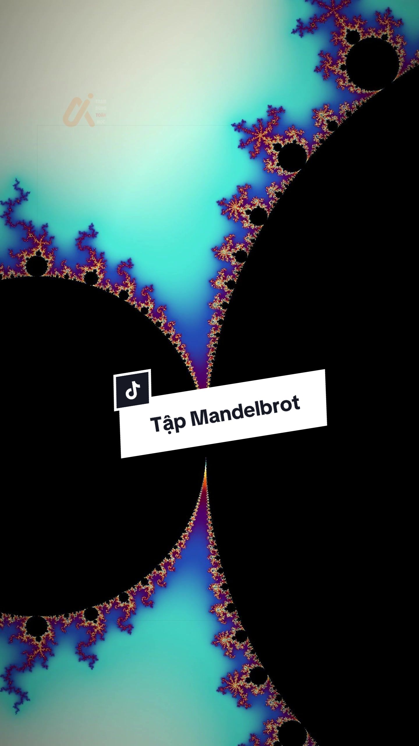 Tập Manderbrot và hình học #fyp #toanhoc #xhuong #toan #tramdungtoanhoc