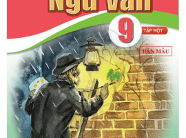 Hội thảo sách giáo khoa lớp 9 - Môn Ngữ văn (Bộ Cánh Diều)