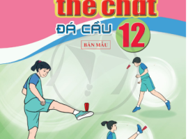 Hội thảo sách giáo khoa lớp 12 - Môn GDTC (Bộ Cánh Diều)