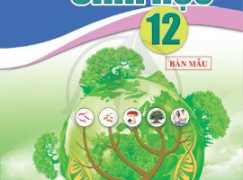 Hội thảo sách giáo khoa lớp 12 - Môn Sinh học (Bộ Cánh Diều)